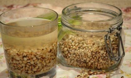 薏仁水怎么做,红豆薏米水的正确做法去湿气图4