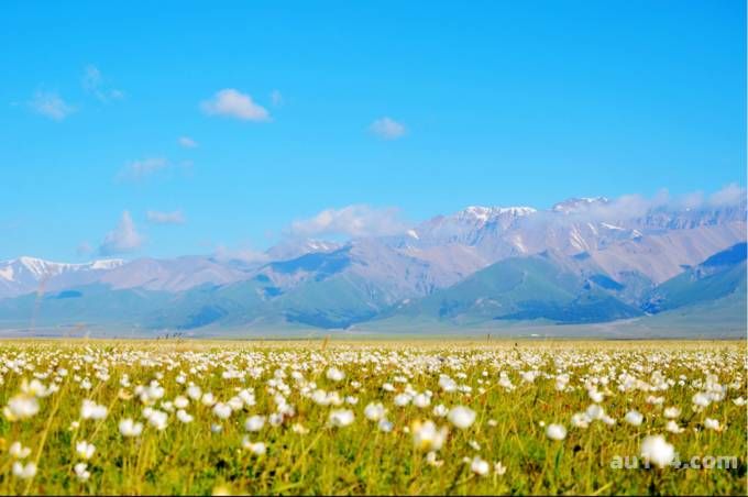   巴音郭楞三天旅游攻略：深入探索新疆的瑰宝