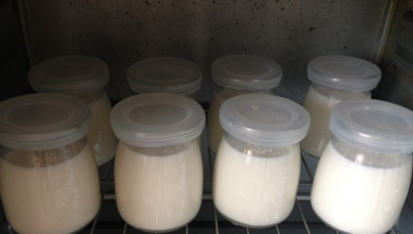 酸奶发酵多久,自制酸奶发酵多长时间最好图7