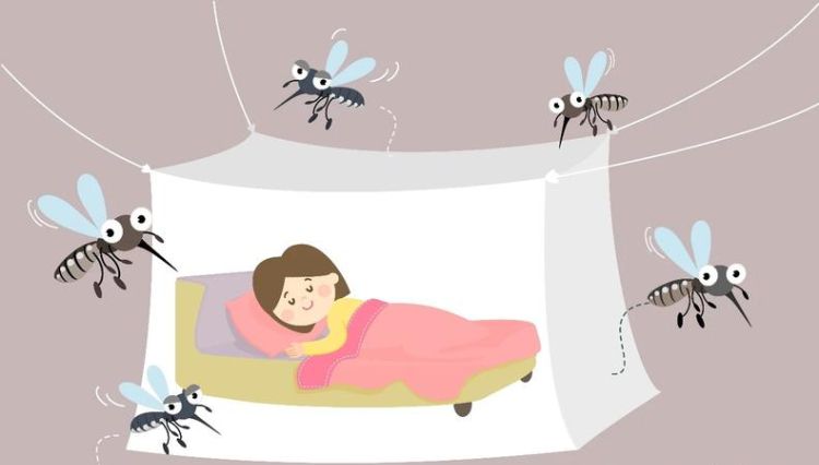 为什么开灯蚊子就不见了,为什么一开灯蚊子就不出来了图3