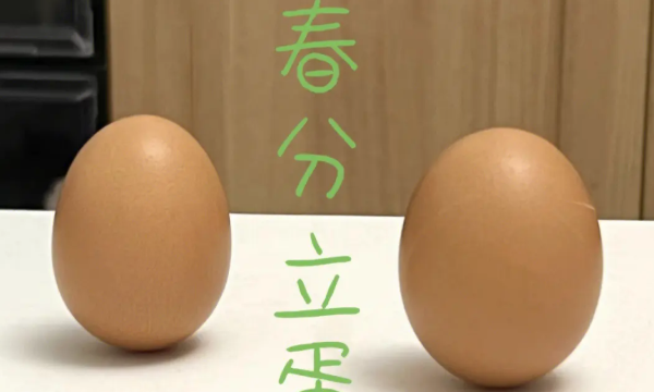 为什么春分立鸡蛋,春分立蛋的原理是什么图3