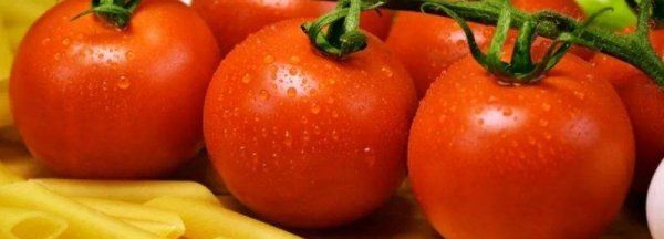 西红柿怎么保存到冬天吃,西红柿怎么储存到冬天吃图2
