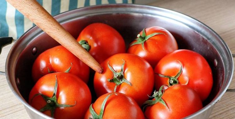 西红柿怎么保存到冬天吃,西红柿怎么储存到冬天吃图6