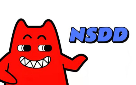nsdd网络用语介绍